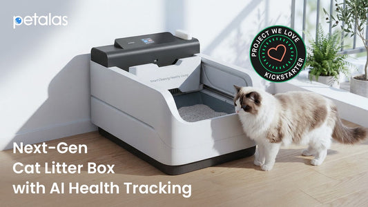 Petalas: Fully Auto-Wash Litter Box. Hands-Free Cat Care.