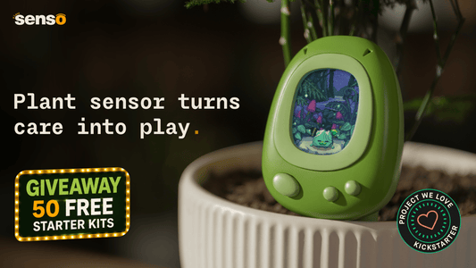 PlantSenso — Turns plant care into play