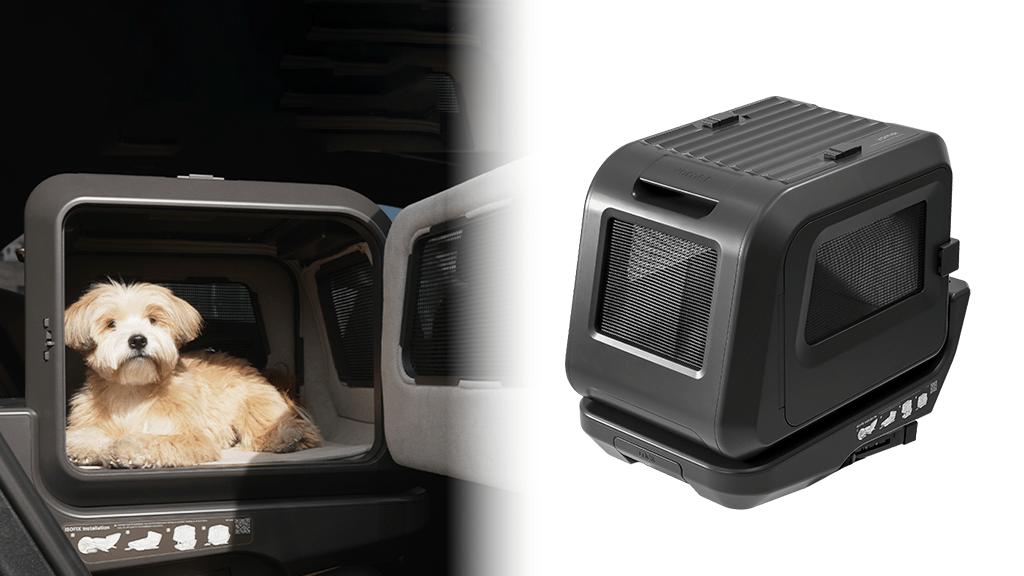 Vomer: The Pet Car Seat That Puts Safety First