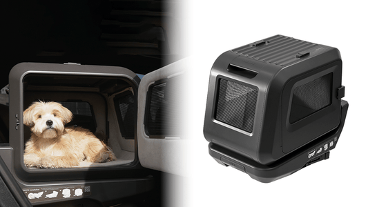 Vomer: The Pet Car Seat That Puts Safety First